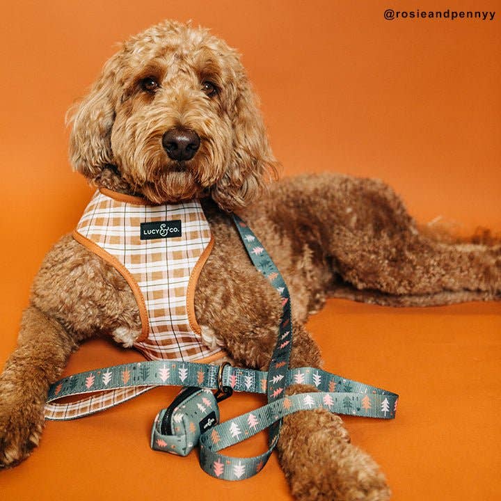 Dog Apparel & Accessories