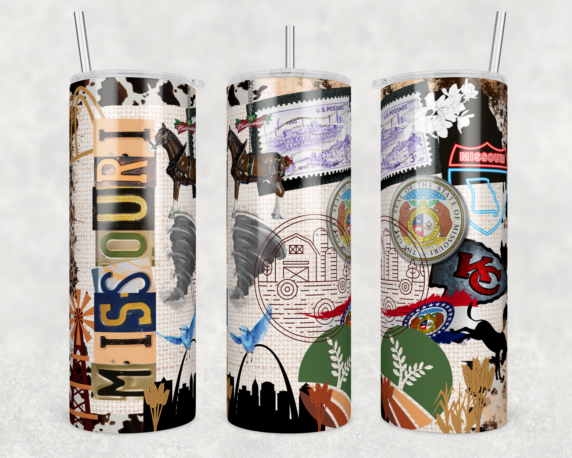 Missouri 20oz Skinny Tumbler