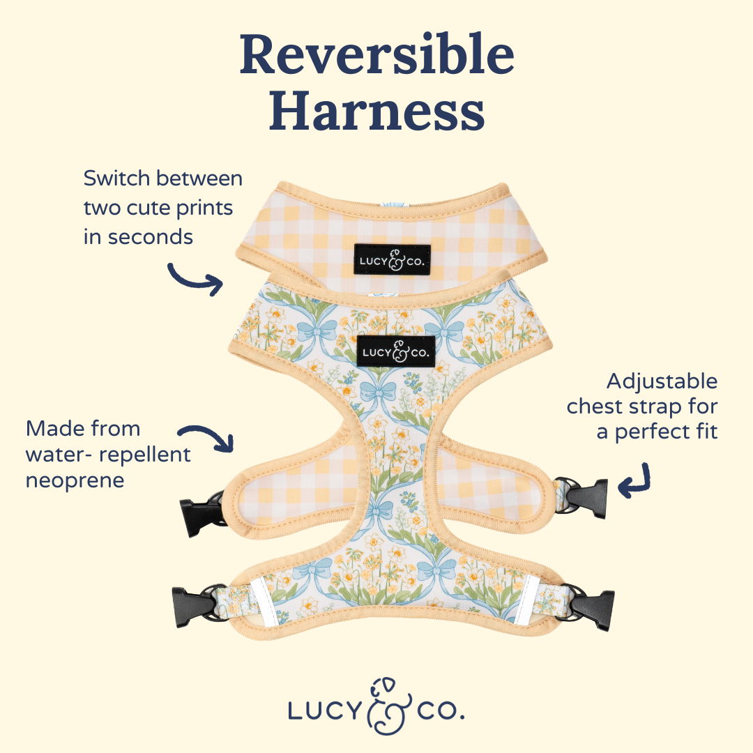 Sunshine and Daffodils Reversible Dog Harness