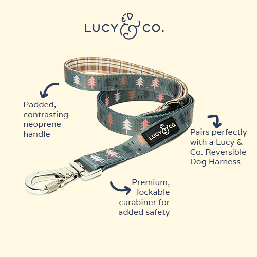Take a Hike Dog Leash