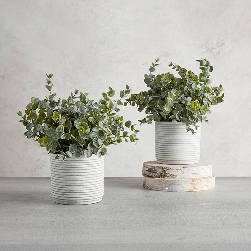 Artificial Plants - White Pot