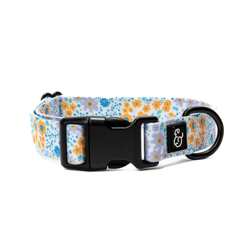 Among the Wildflowers Dog Collar