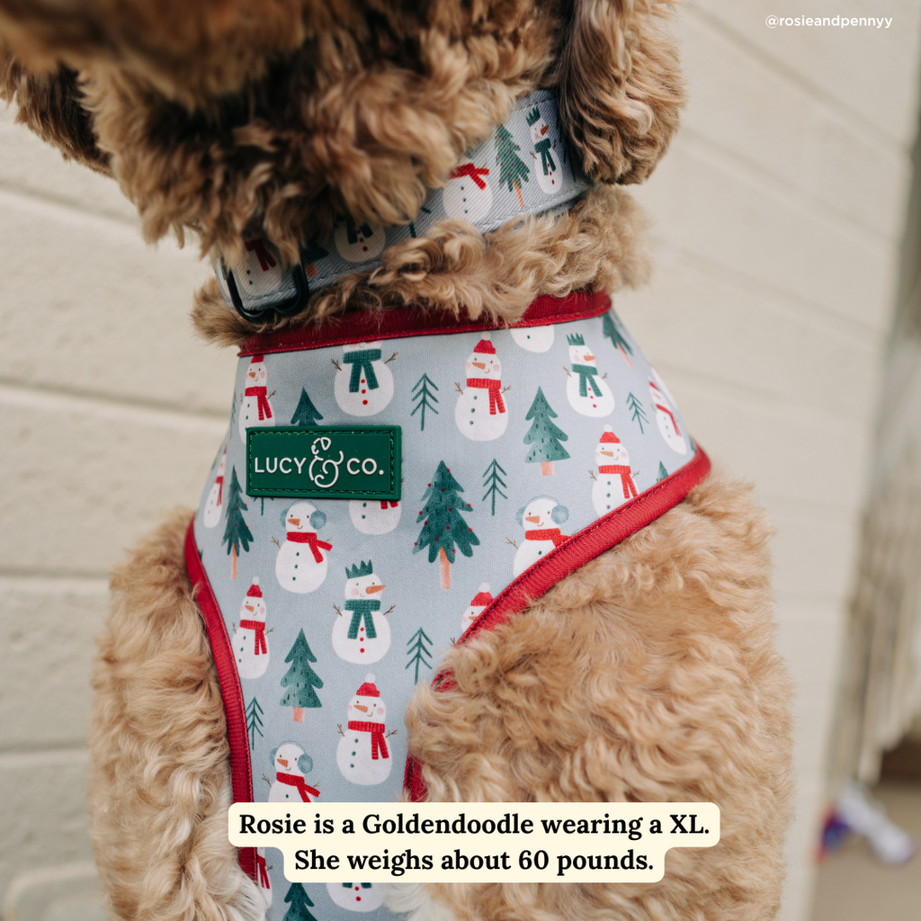 Snow Much Fun Reversible Dog Harness