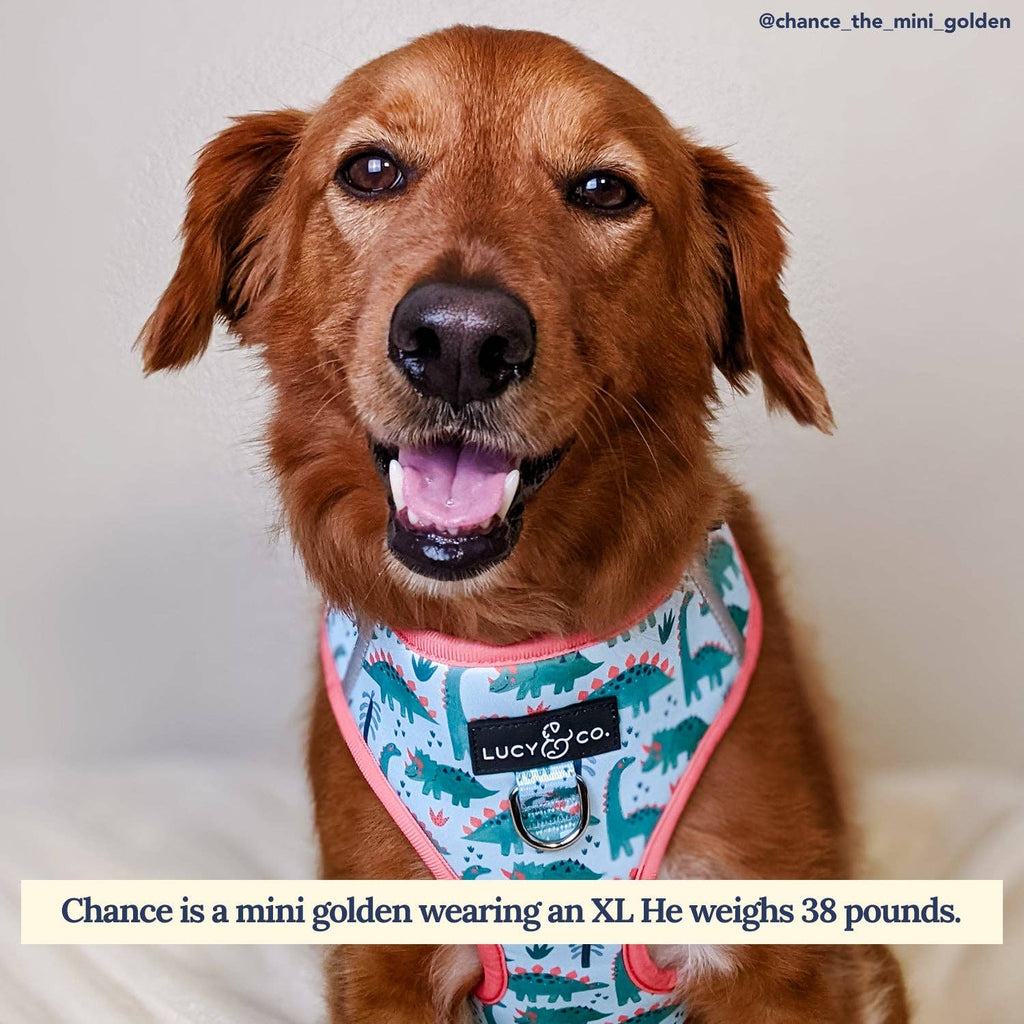 DinoROAR No-Pull Dog Harness