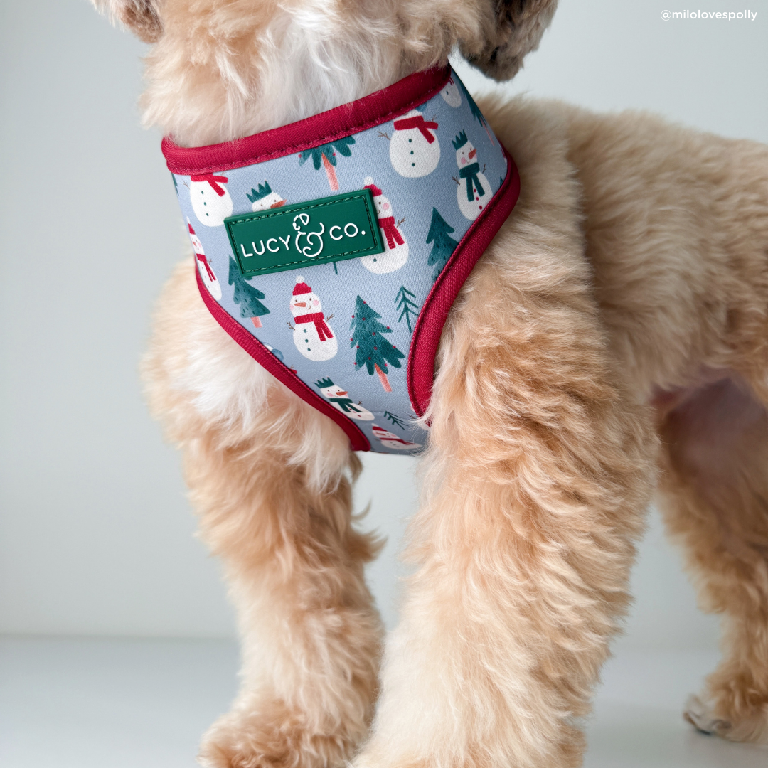 Snow Much Fun Reversible Dog Harness