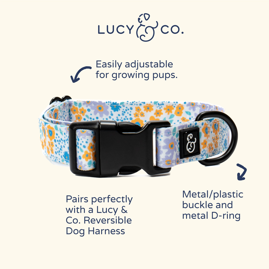 Among the Wildflowers Dog Collar
