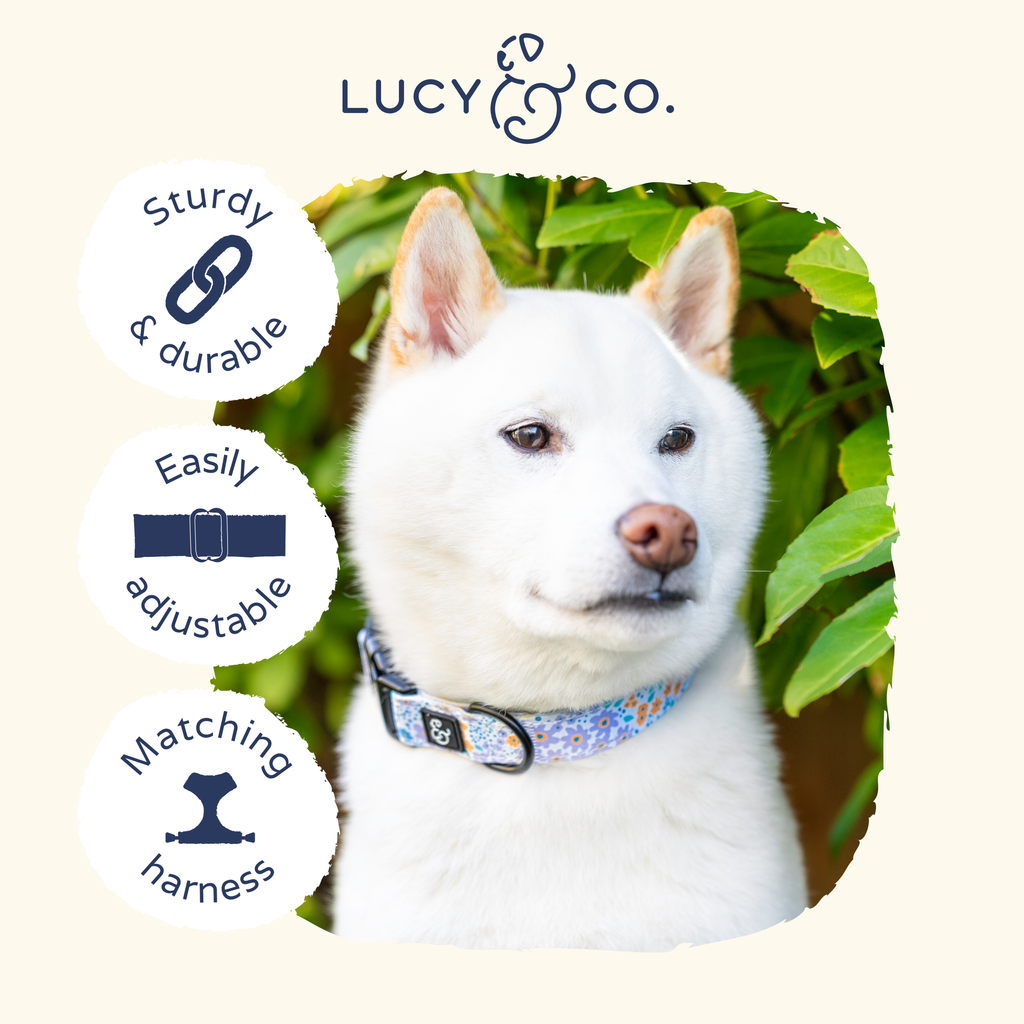 Among the Wildflowers Dog Collar