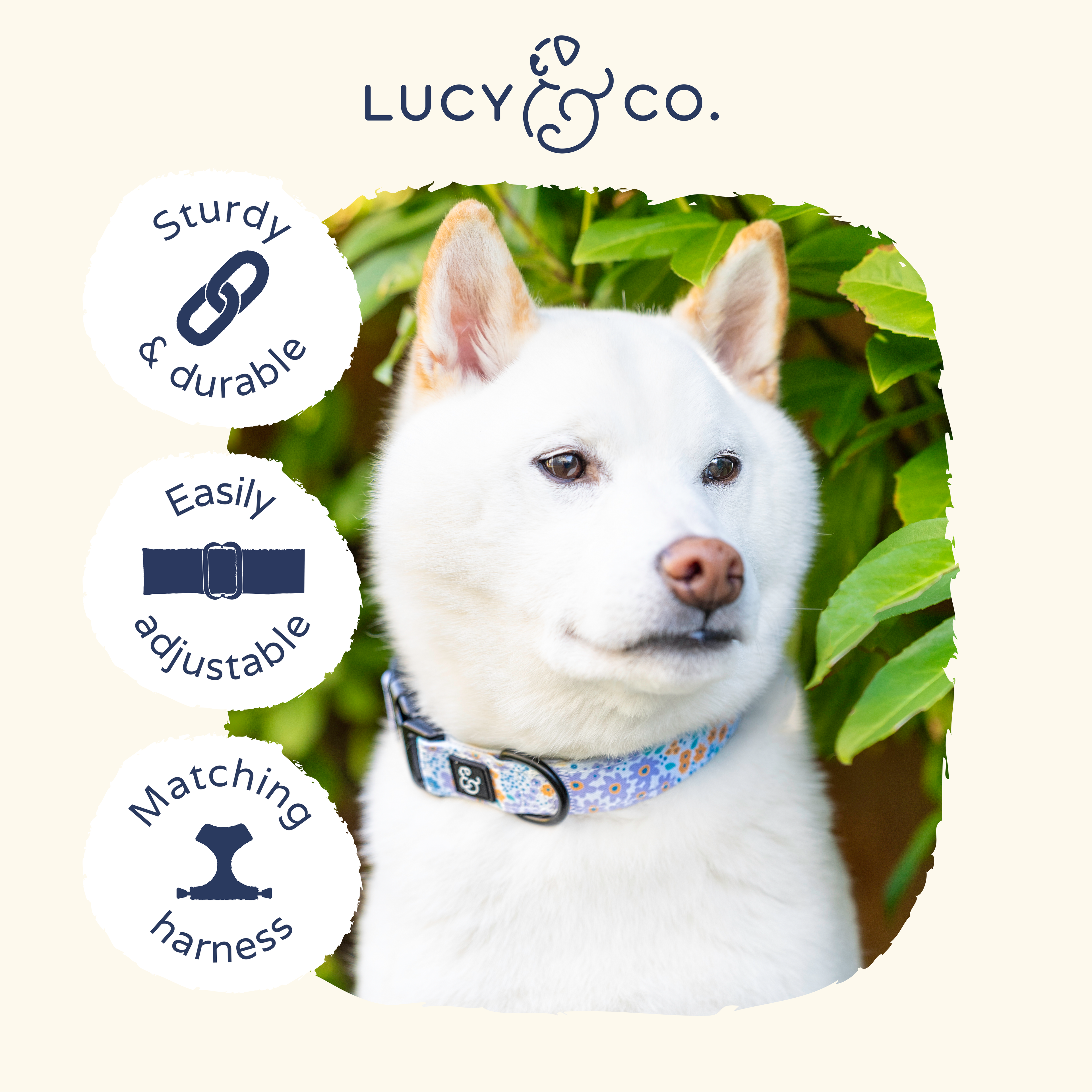 Among the Wildflowers Dog Collar