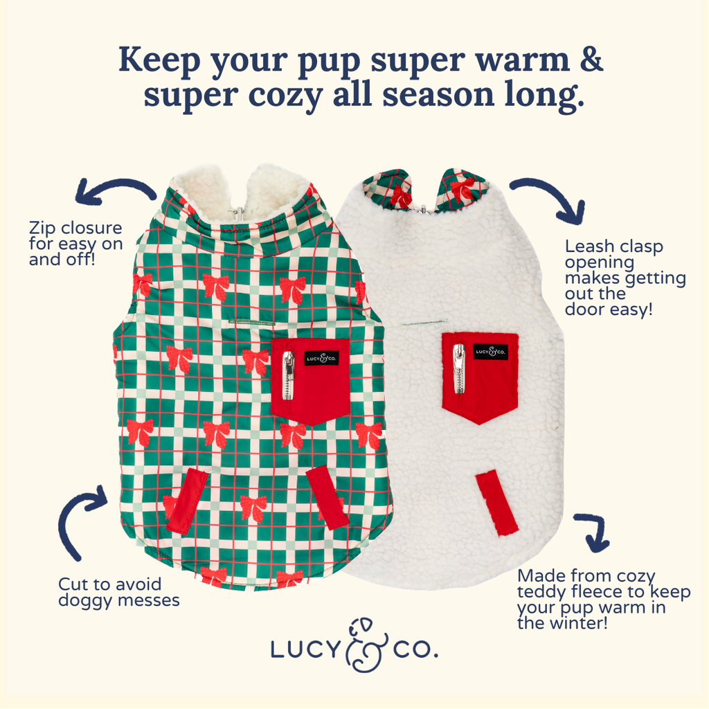 Happy Howlidays Reversible Teddy Dog Vest