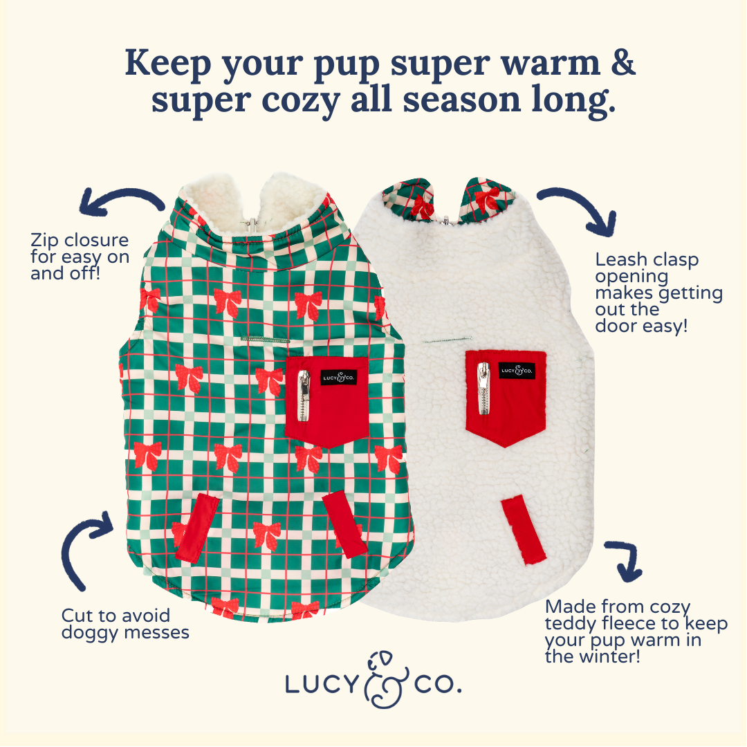 Happy Howlidays Reversible Teddy Dog Vest