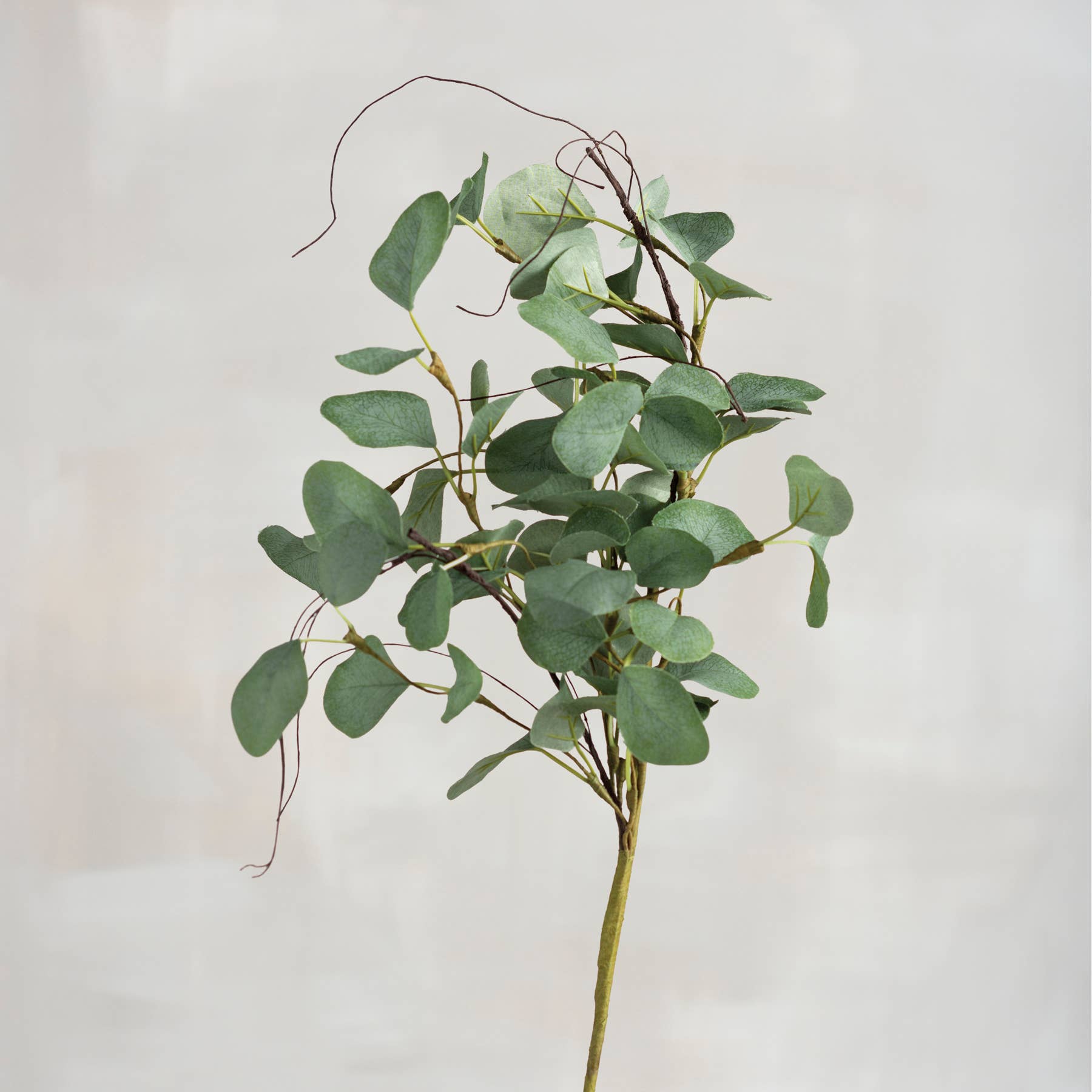 Eucalyptus Large Floral Pick