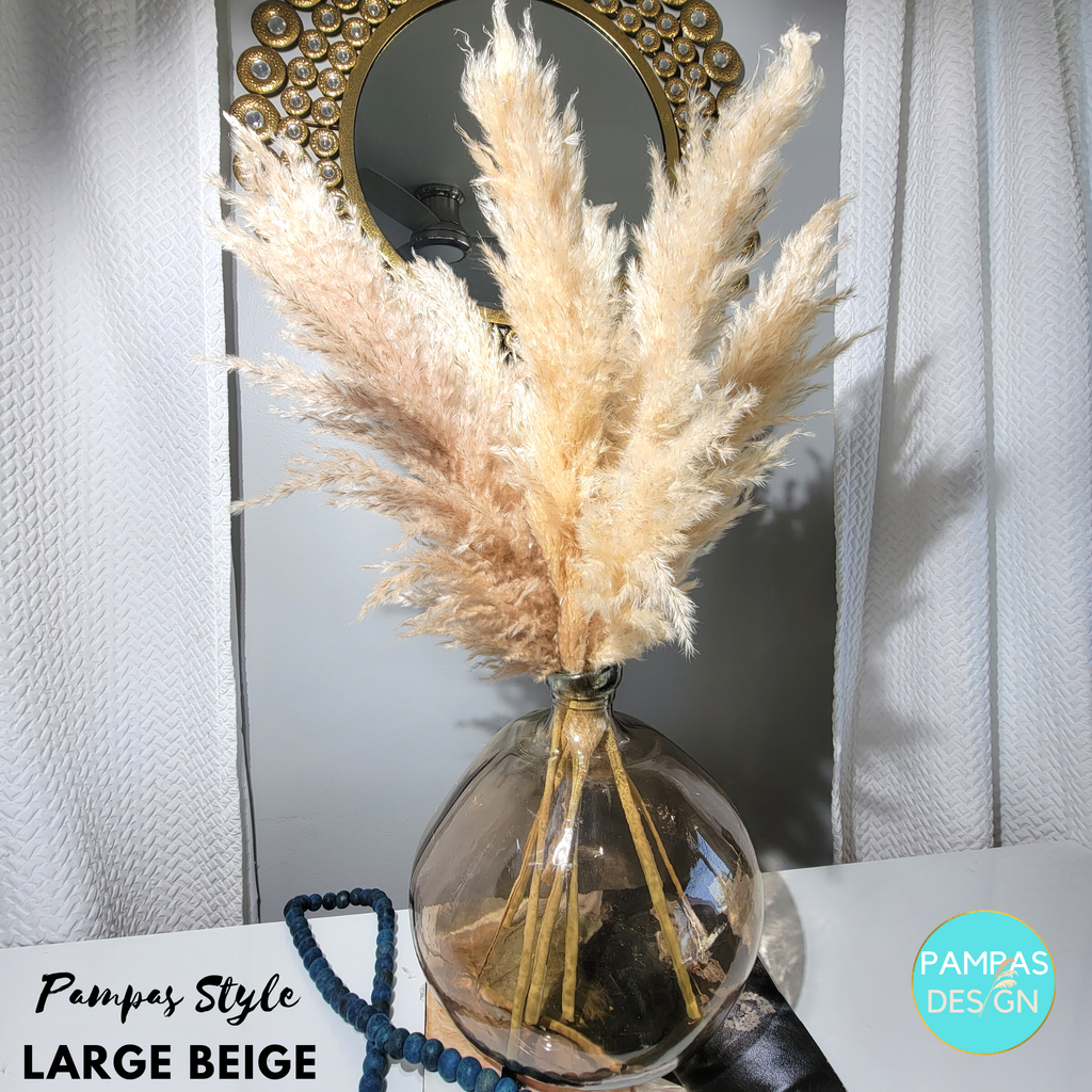 Pampas Grass Large Stem 3.5ft to 4ft Tall Soft and Fluffy