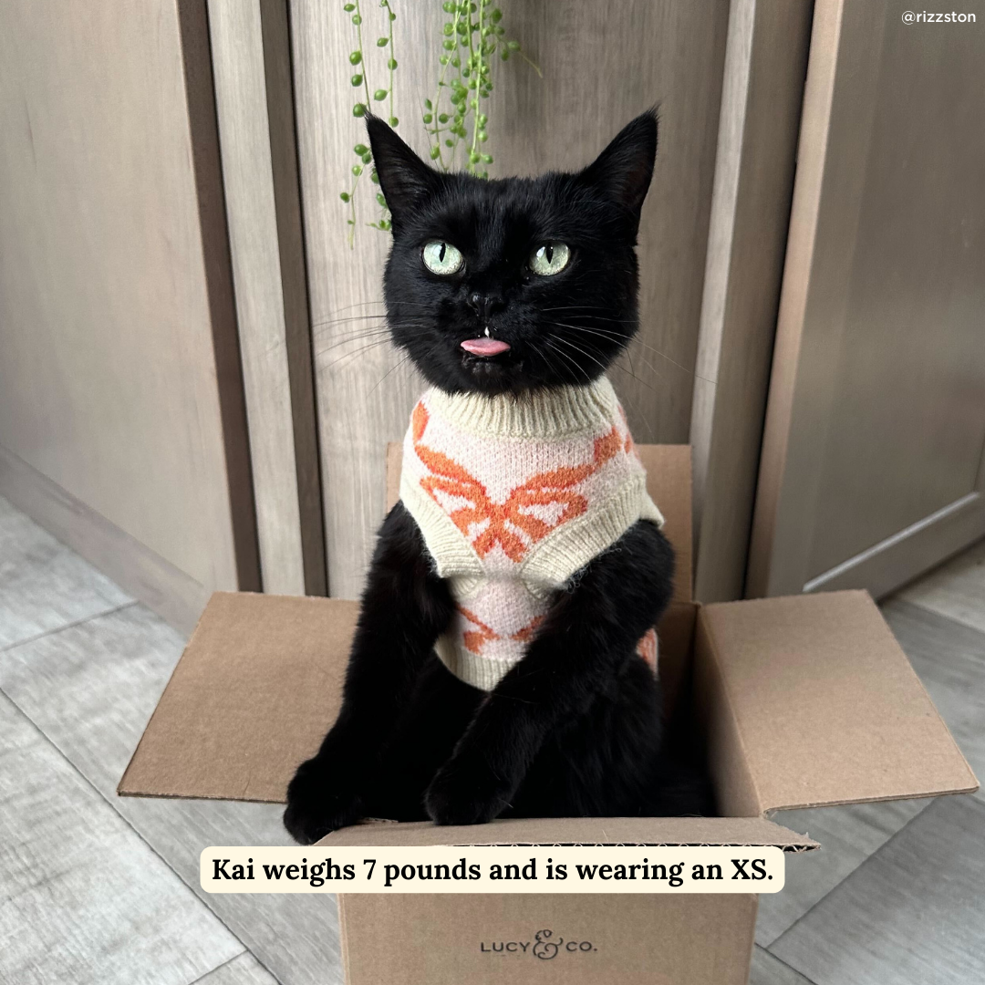 Coquette Ribbons Pet Sweater