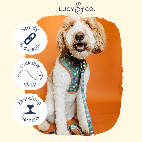 Take a Hike Dog Leash