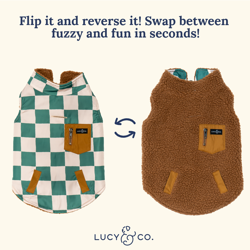 You're a Square Reversible Teddy Dog Vest