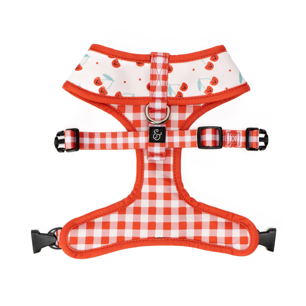 Cheery Cherries Reversible Dog Harness