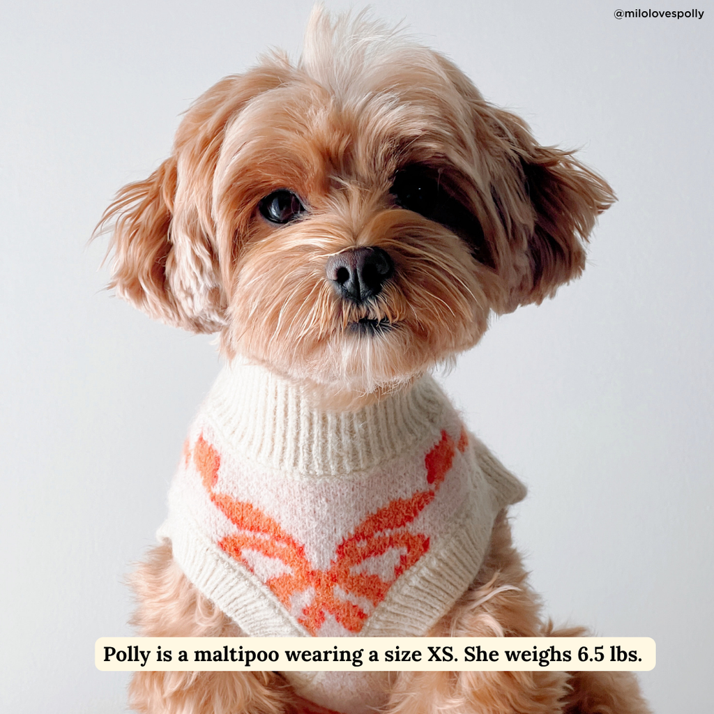 Coquette Ribbons Pet Sweater