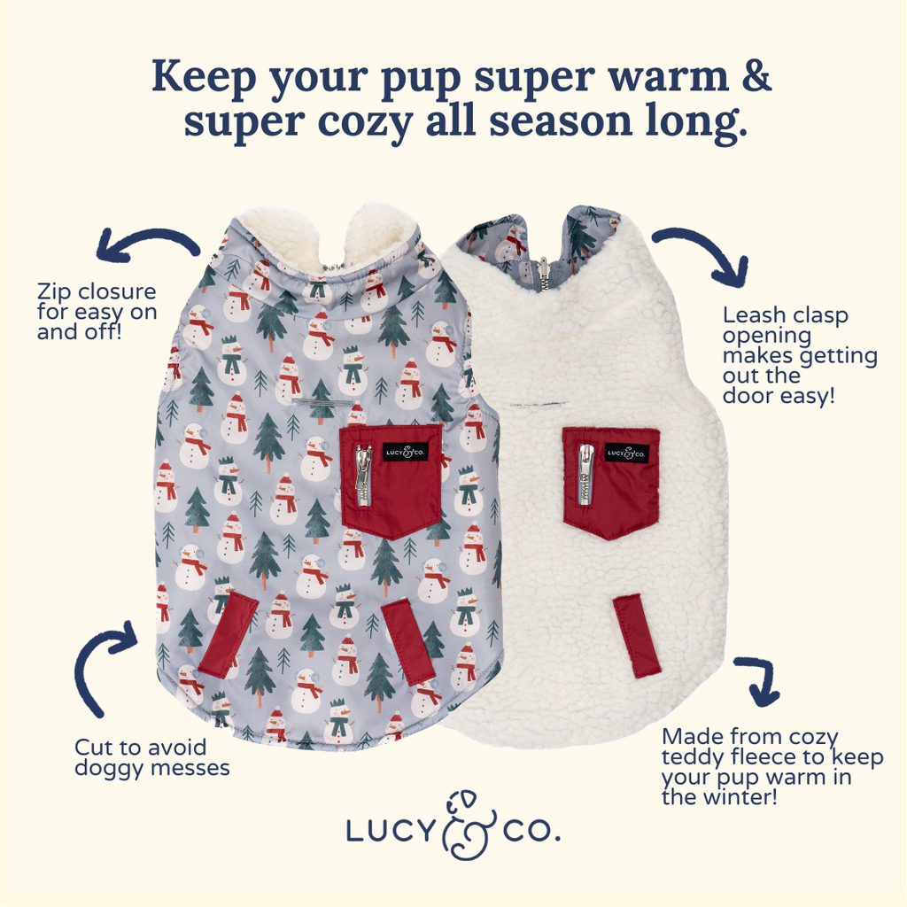 Snow Much Fun Reversible Teddy Dog Vest