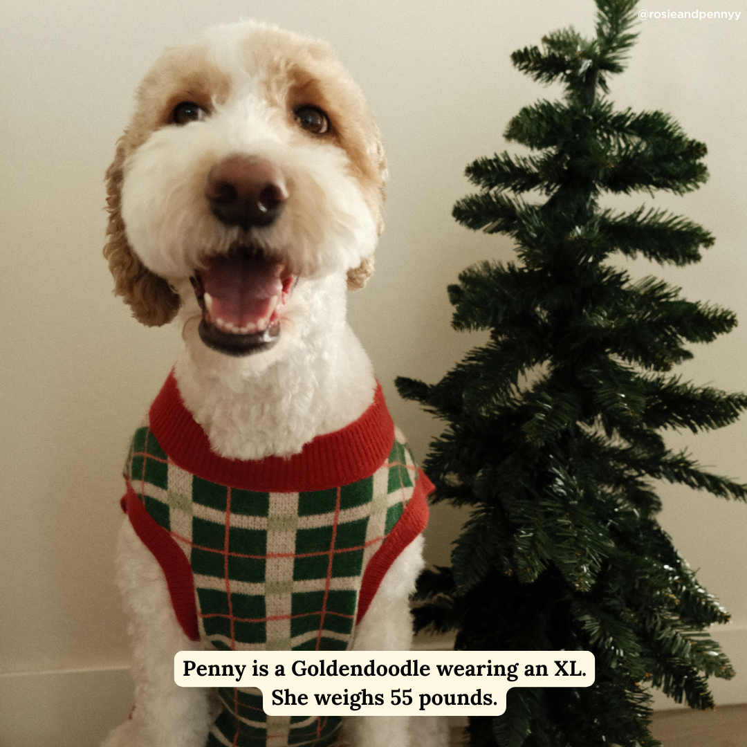 Happy Howlidays Dog Sweater