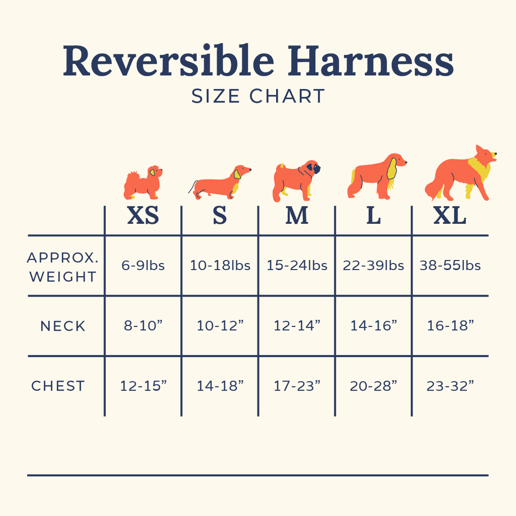 Looking Sharp Reversible Dog Harness