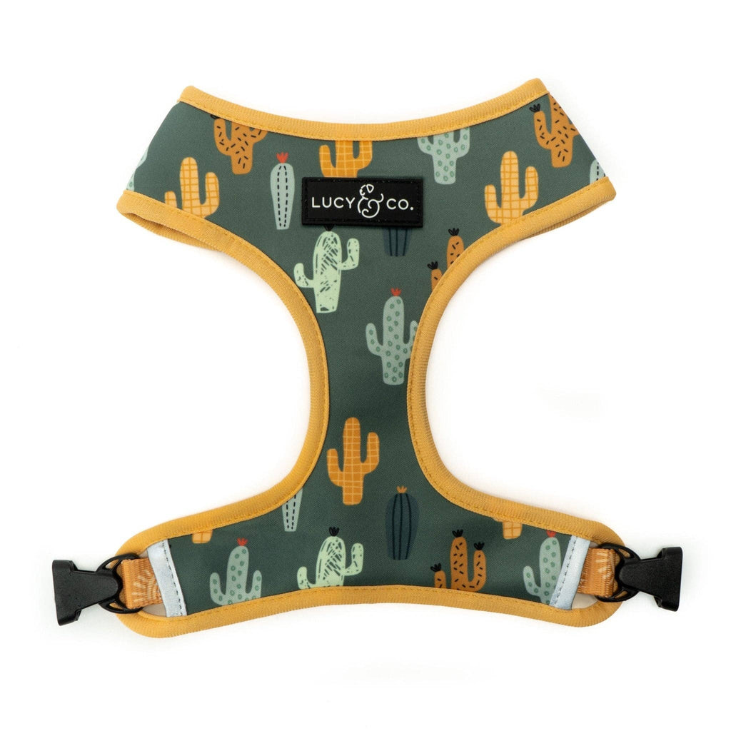 Looking Sharp Reversible Dog Harness