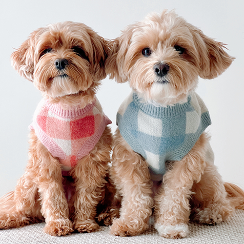 Take a Bow Dog Sweater