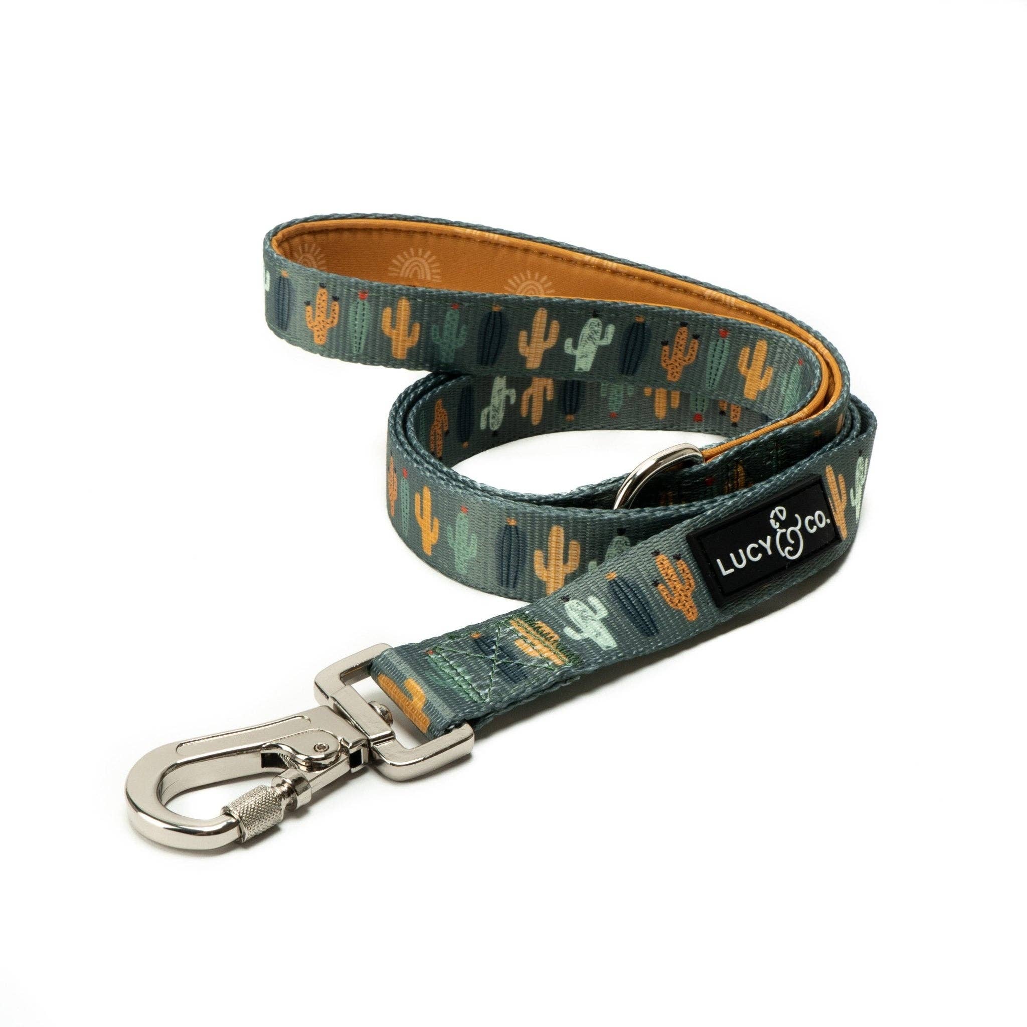 Looking Sharp Dog Leash