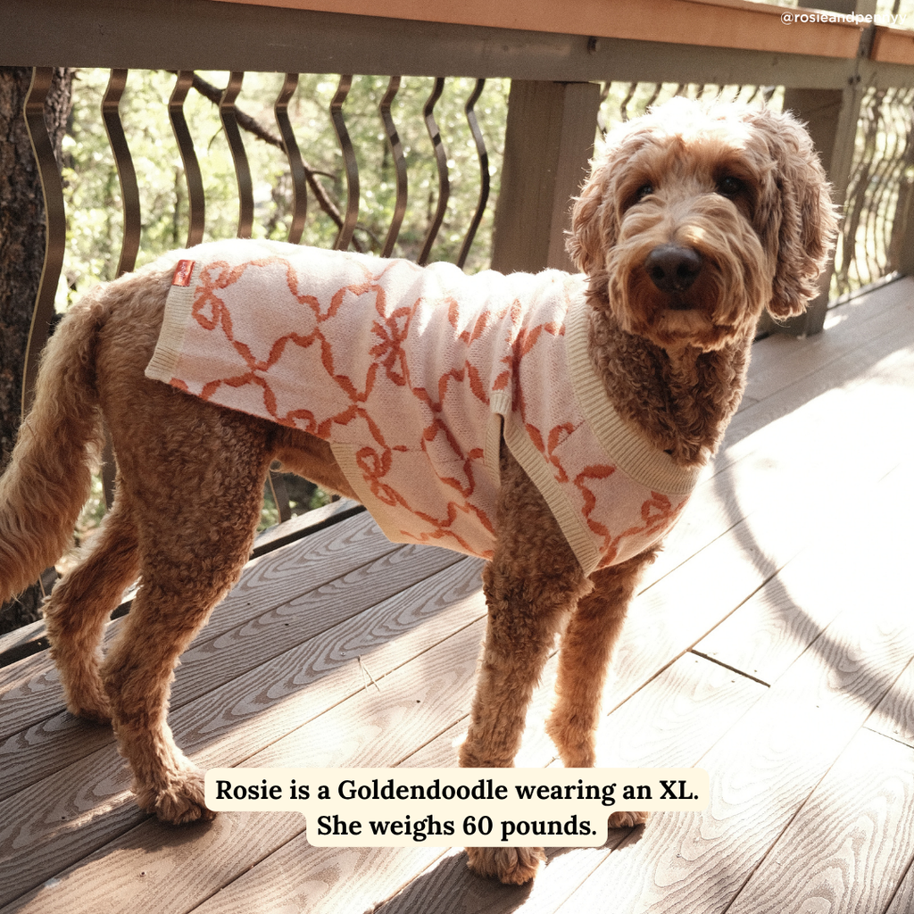 Coquette Ribbons Pet Sweater