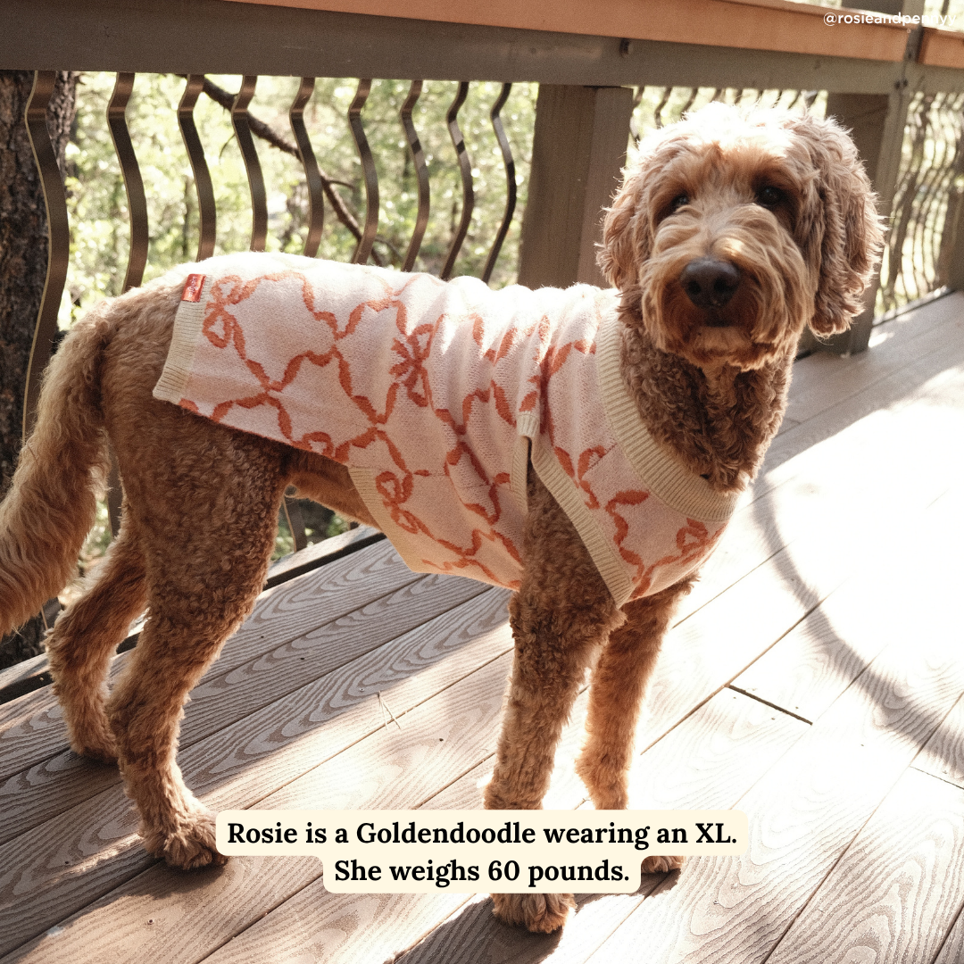 Coquette Ribbons Pet Sweater