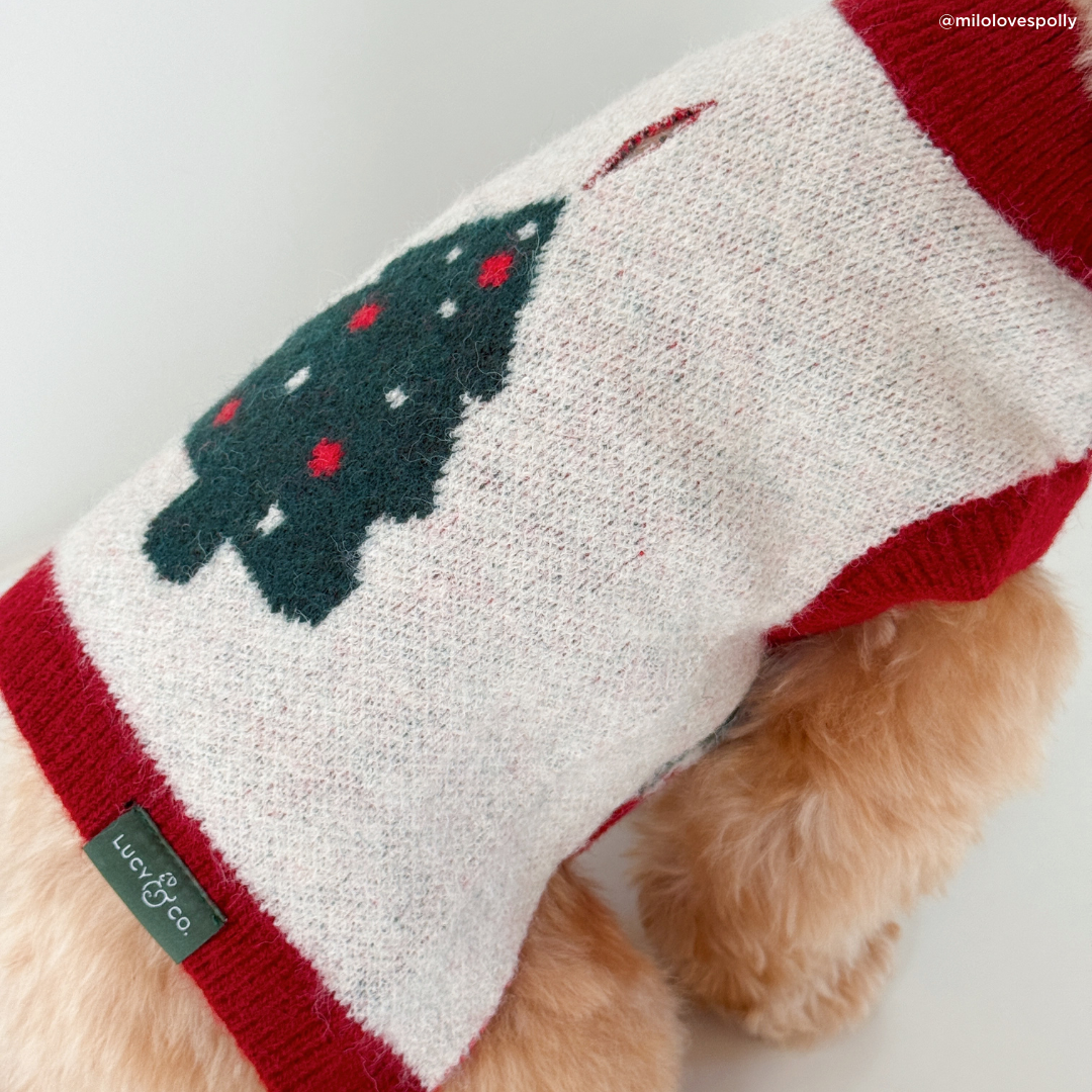 Snow Much Fun Dog Sweater