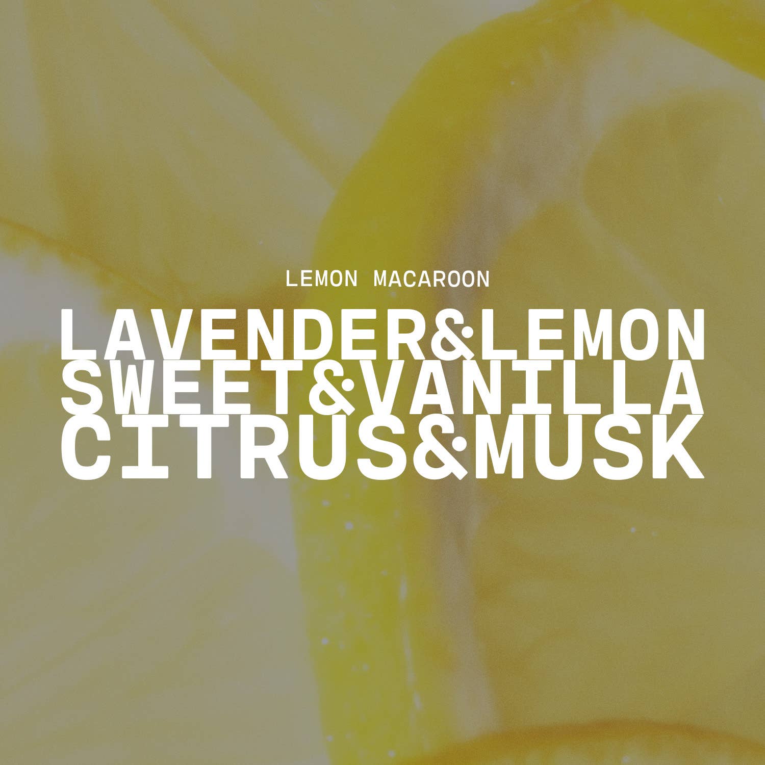3.75 oz Traveler Tin Candle: Lemon Macaroon