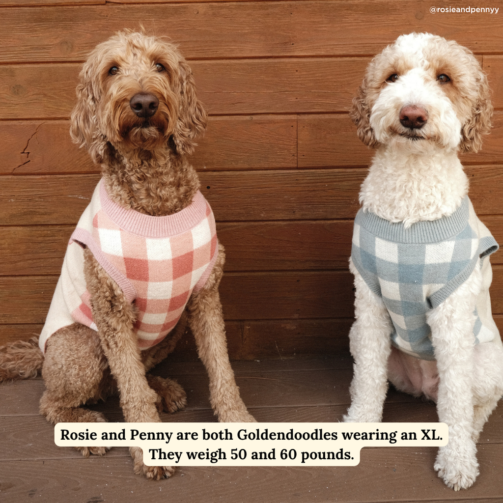 Take a Bow Dog Sweater