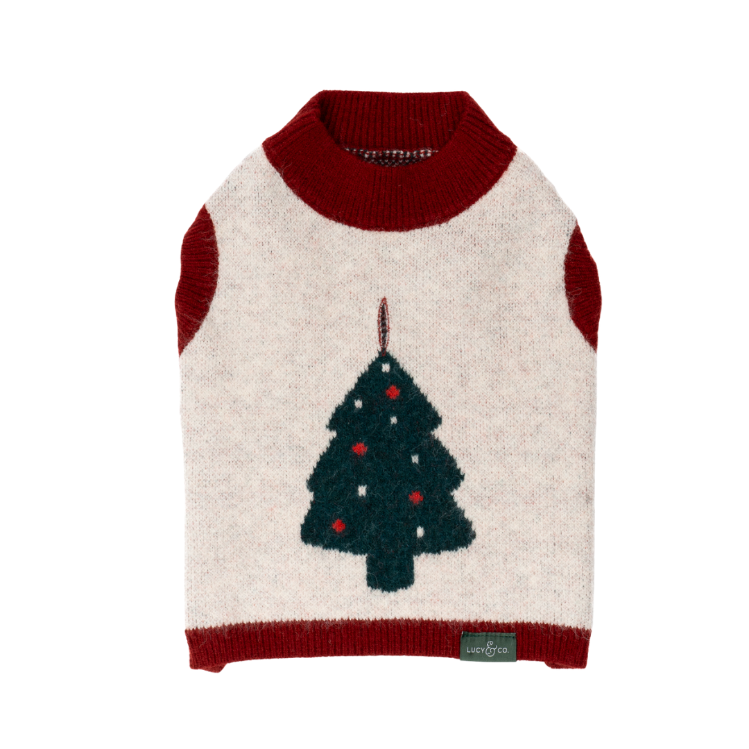 Snow Much Fun Dog Sweater