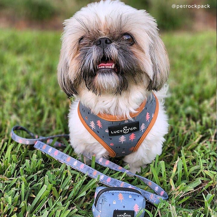 Take a Hike Dog Leash