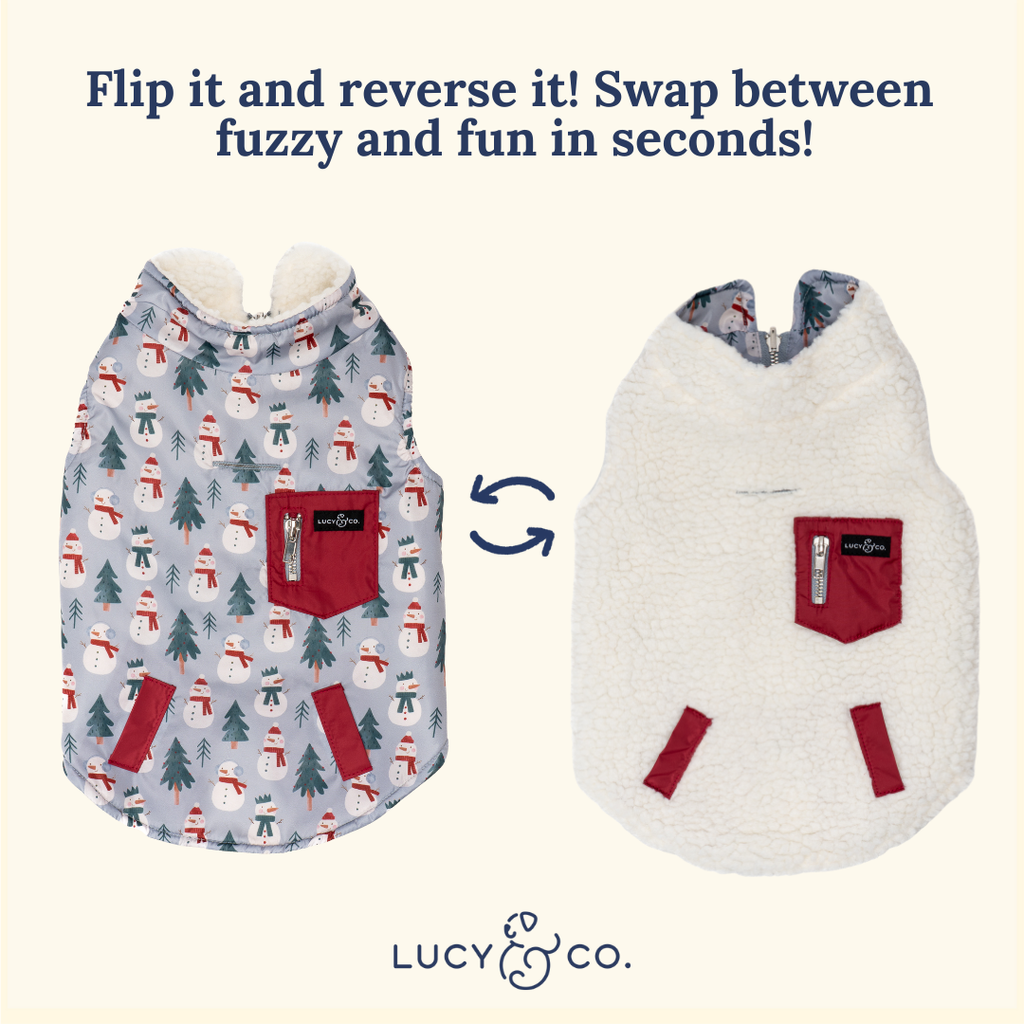 Snow Much Fun Reversible Teddy Dog Vest