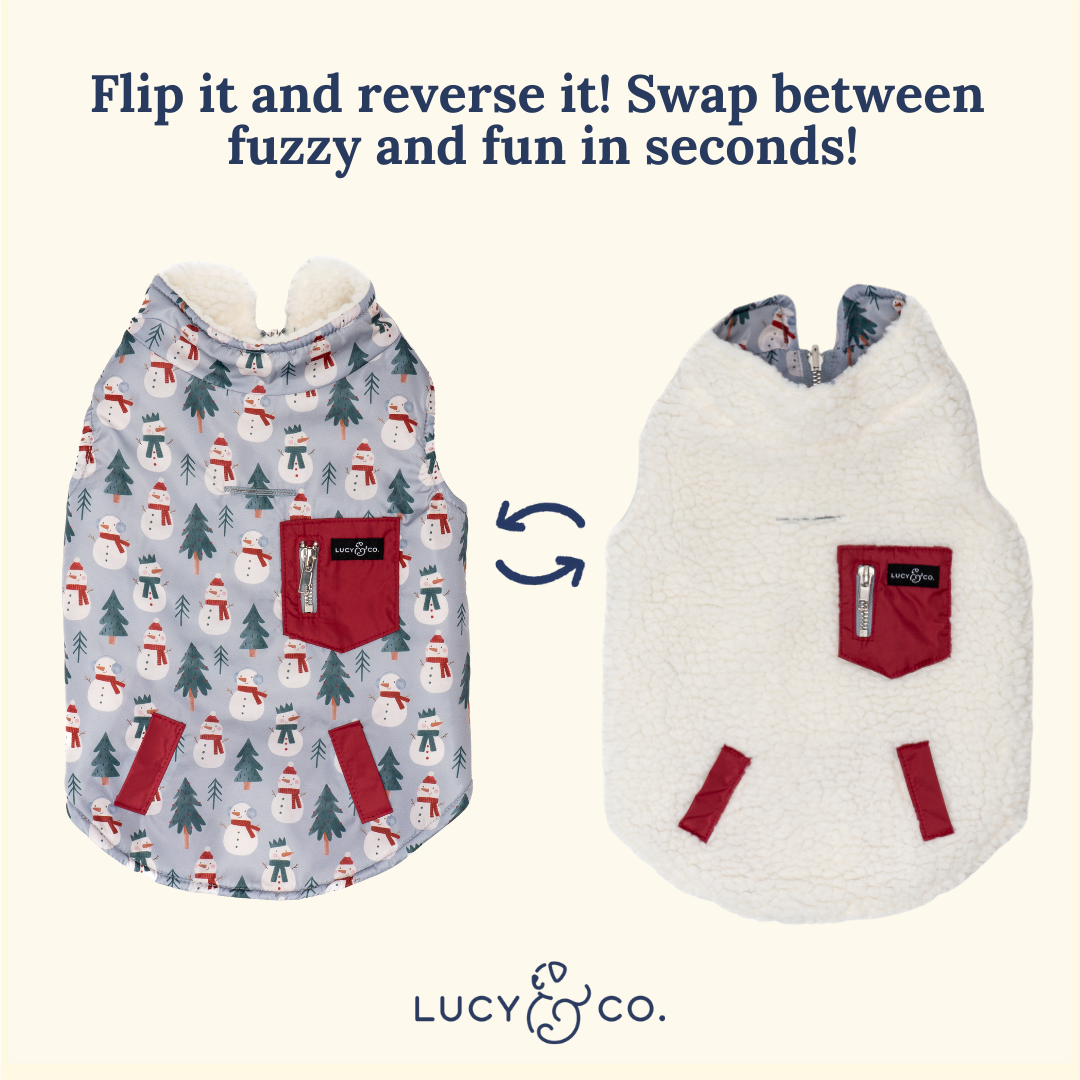 Snow Much Fun Reversible Teddy Dog Vest
