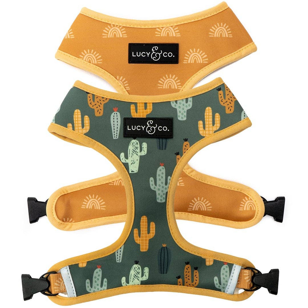 Looking Sharp Reversible Dog Harness