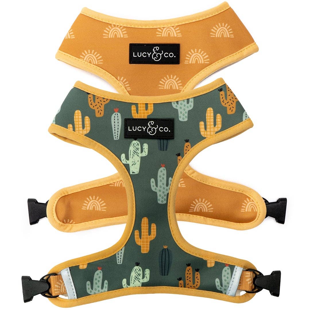 Looking Sharp Reversible Dog Harness