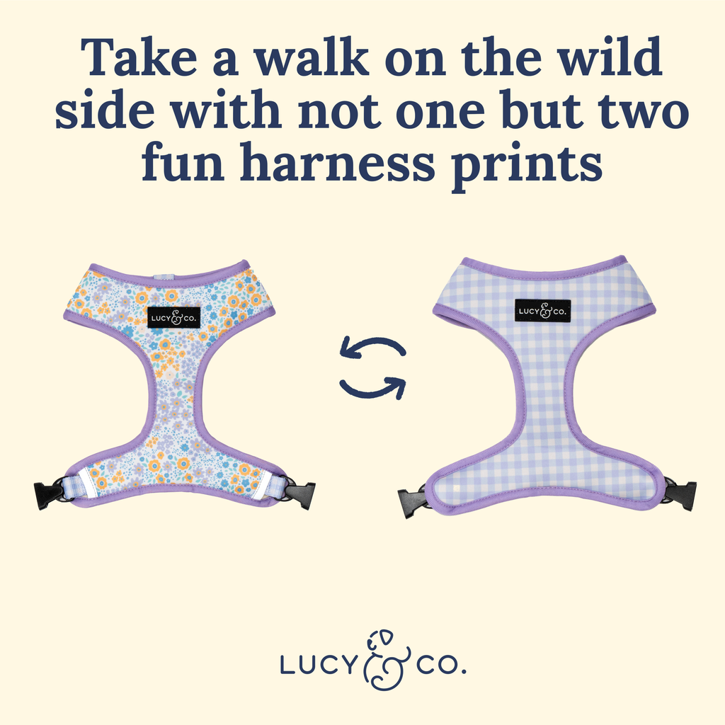 Among the Wildflowers Reversible Dog Harness
