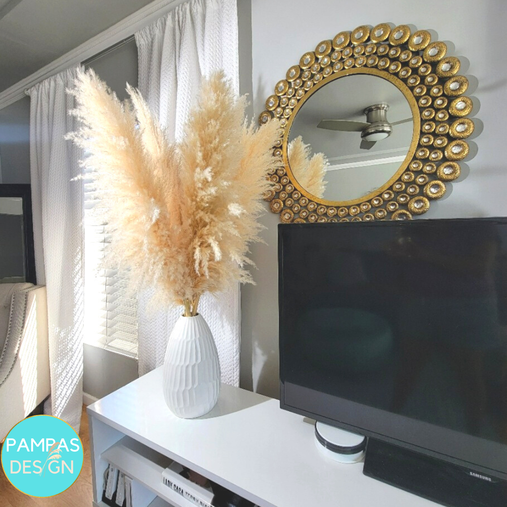 Huge XL Fluffy Pampas Grass 1 Stem (3.5ft to 4ft Tall)