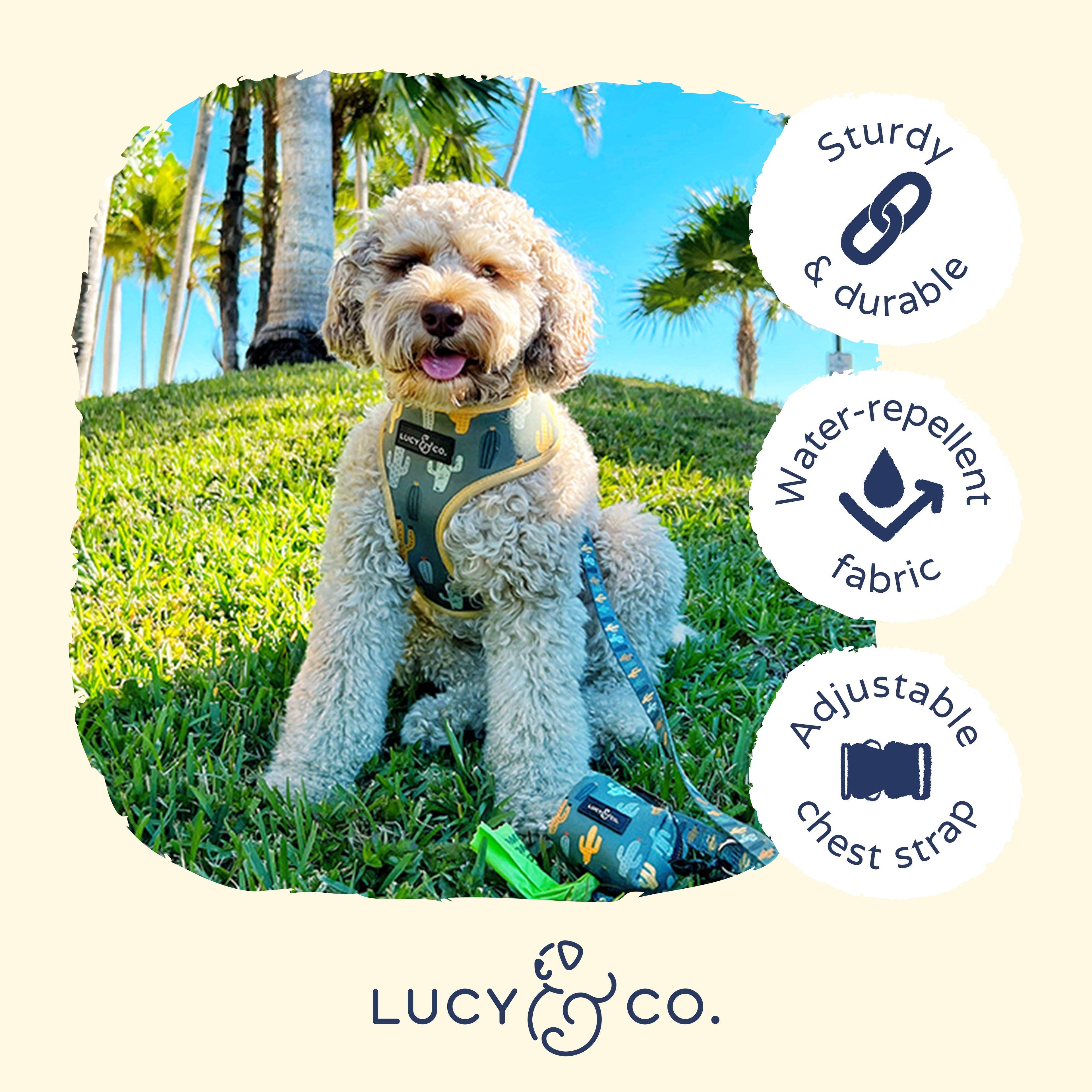 Looking Sharp Reversible Dog Harness