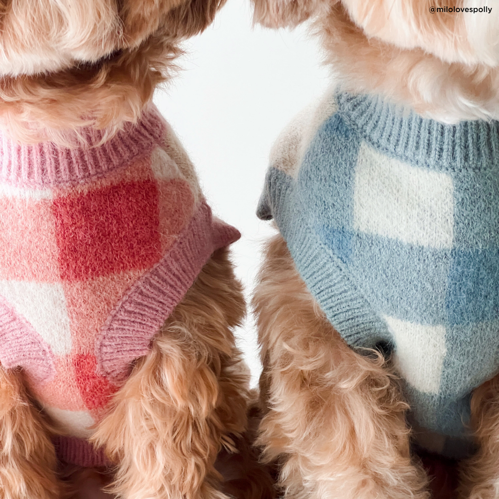 Take a Bow Dog Sweater
