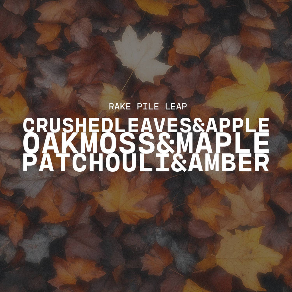 Fall Ceramic Pumpkin 16 oz: Rake, Pile, Leap! Candle