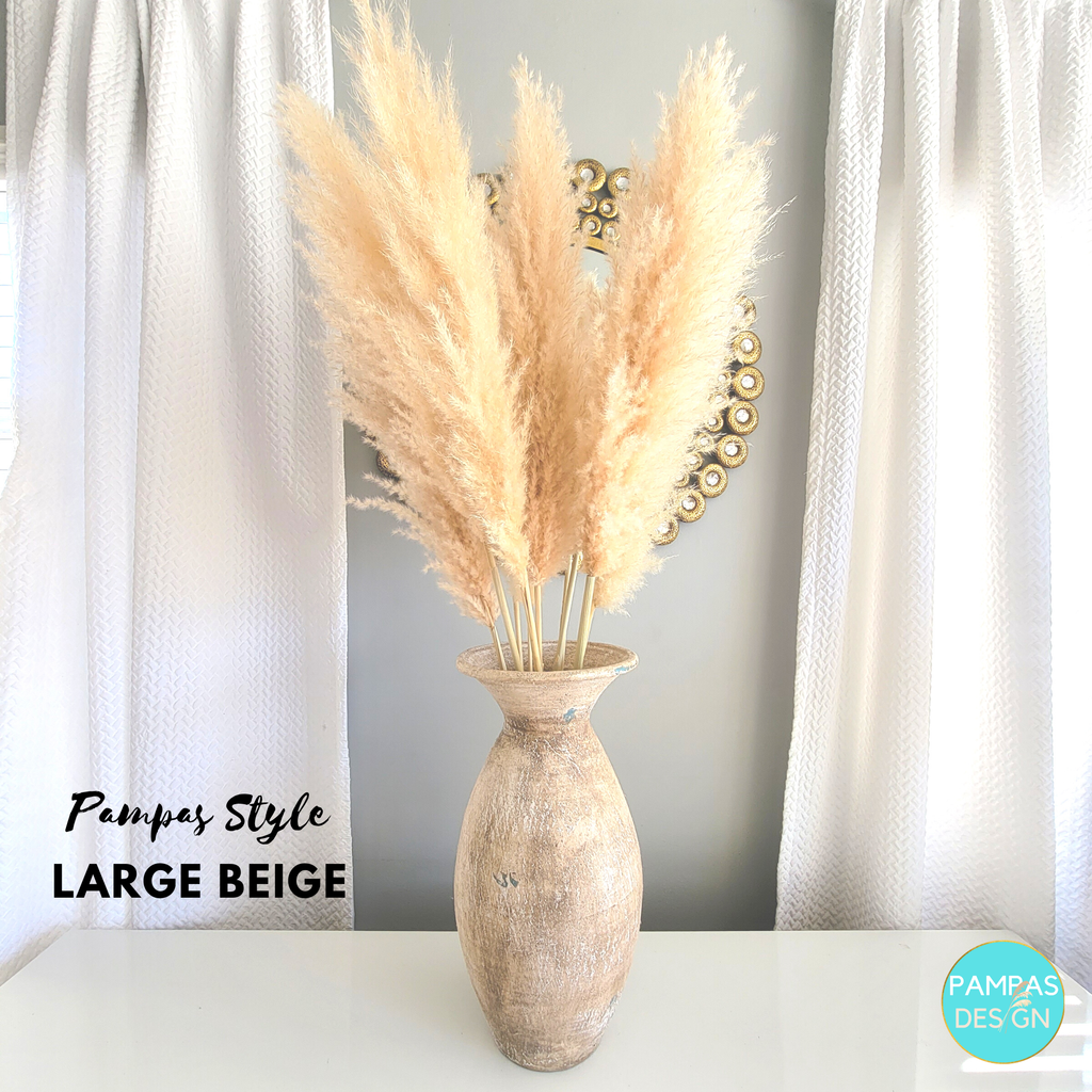Pampas Grass Large Stem 3.5ft to 4ft Tall Soft and Fluffy