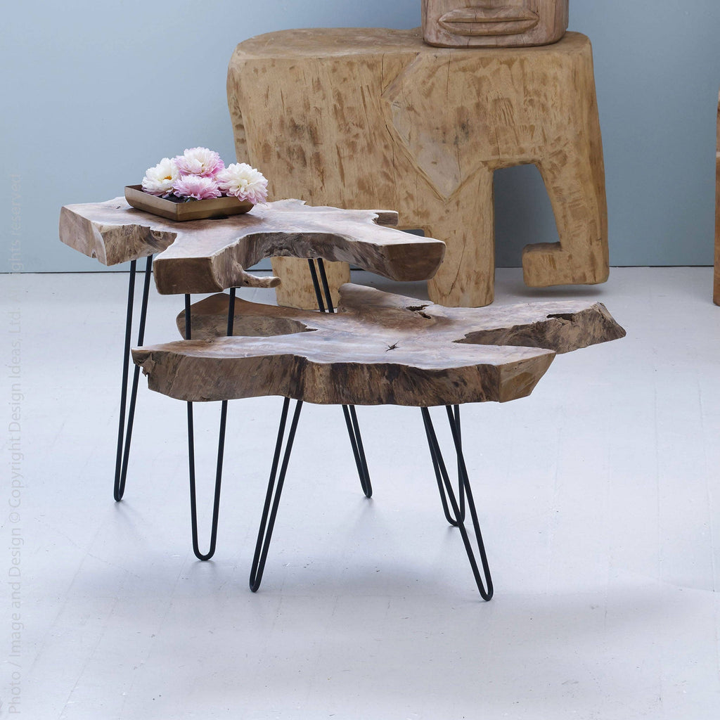 Takara™ side table