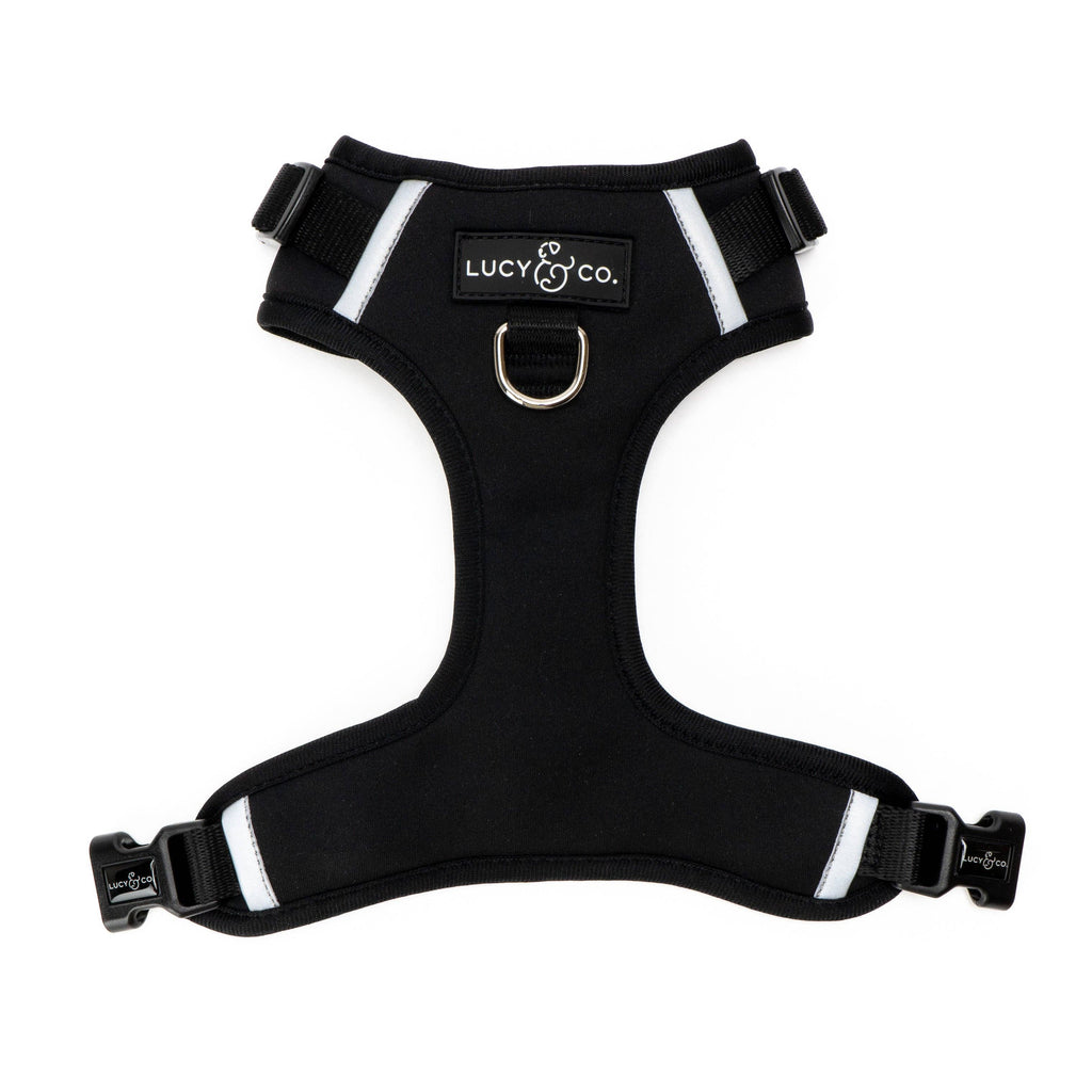 Midnight No-Pull Dog Harness