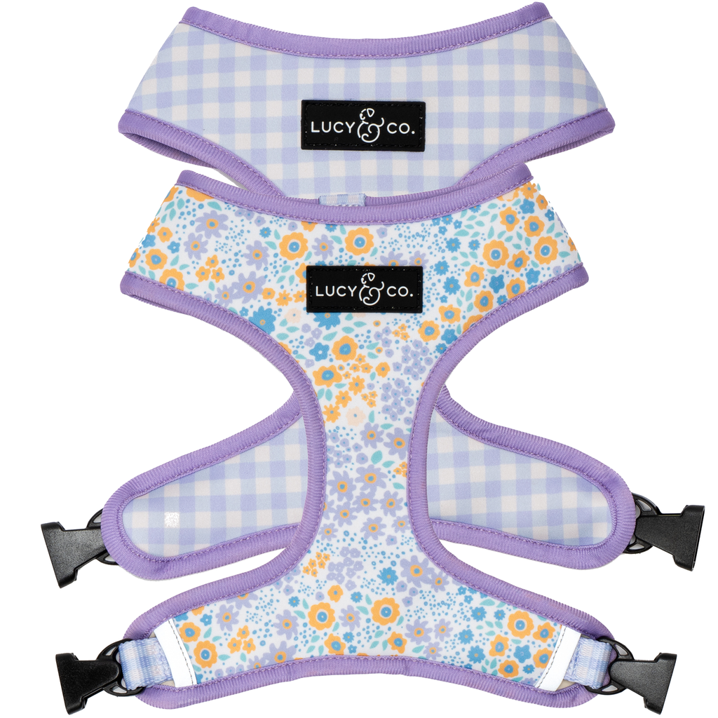 Among the Wildflowers Reversible Dog Harness