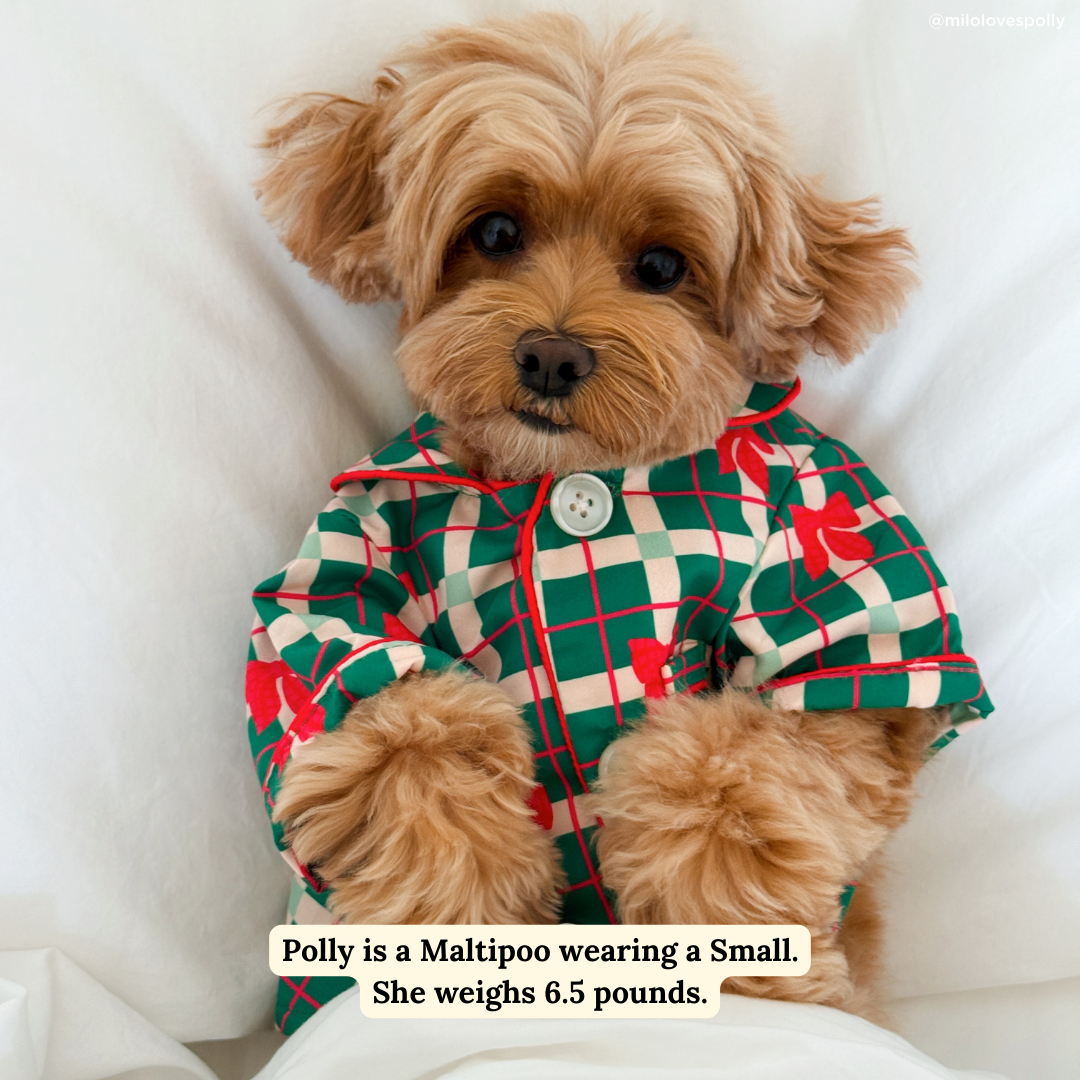 Howliday Bows Dog Pajamas + Human Eye Pillow