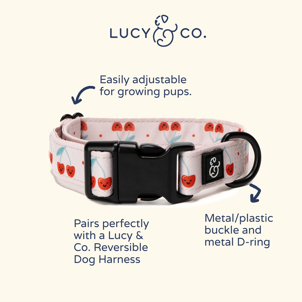 Cheery Cherries Dog Collar