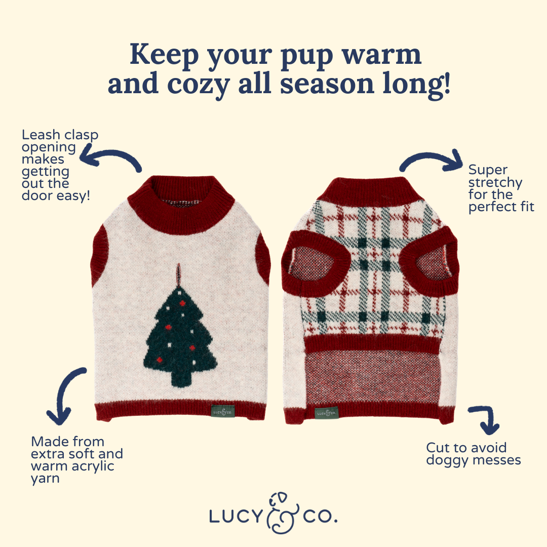 Snow Much Fun Dog Sweater